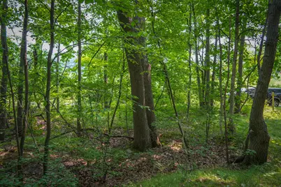 Colfax Park Road, Walkerville, MI 49459 - Photo 13
