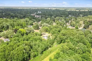 102 Mehl St, Leslie, MI 49251 - Photo 45