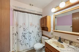 928 E Brierwood St, Greenville, MI 48838 - Photo 15