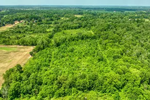 1533 E Munger Rd, Tecumseh, MI 49286 - Photo 45