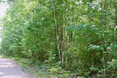 V/L Lakewood Drive, Harrison, MI 48625 - Photo 19
