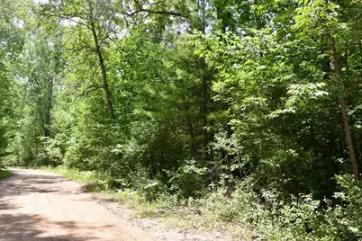 V/L Lakewood Drive, Harrison, MI 48625 - Photo 15