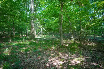 V/L 40A S 168th Avenue, Hesperia, MI 49421 - Photo 19