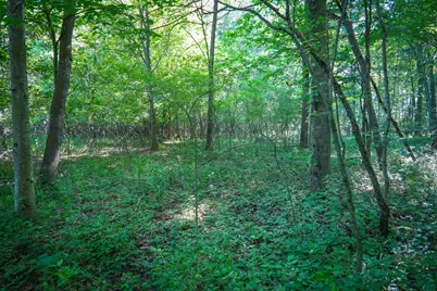 V/L 40A S 168th Avenue, Hesperia, MI 49421 - Photo 23