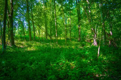 V/L 40A S 168th Avenue, Hesperia, MI 49421 - Photo 29