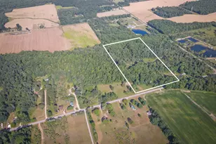 V/L 40A S 168th Ave, Hesperia, MI 49421 - Photo 1