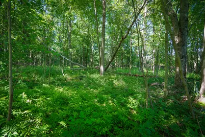 V/L 40A S 168th Avenue, Hesperia, MI 49421 - Photo 35