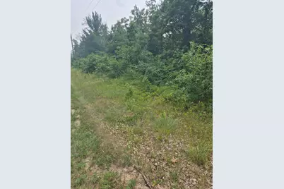W Foreman Road, Baldwin, MI 49304 - Photo 3