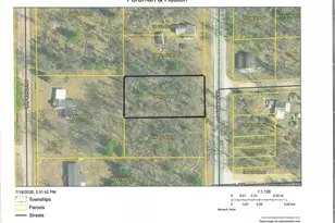 W Foreman Rd, Baldwin, MI 49304 - Photo 1
