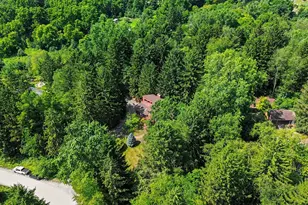 3654 E Pineview Dr, Dexter, MI 48130 - Photo 41