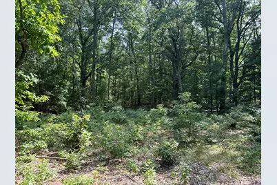 6440 Gaslight Lane, Saugatuck, MI 49453 - Photo 3