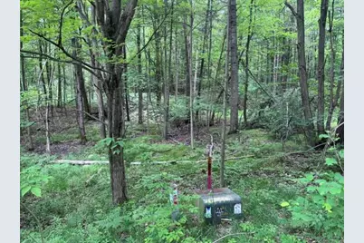142 Hills Circle, Leroy, MI 49655 - Photo 3