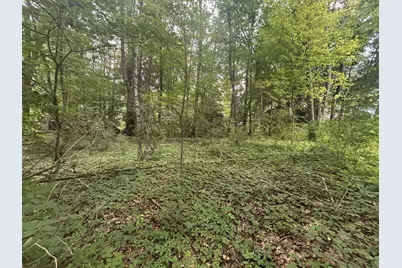 0 V/L Ash-Te-Wette Drive, Hillsdale, MI 49242 - Photo 9