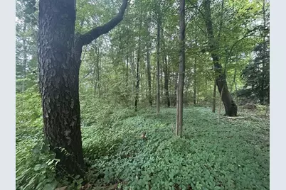 0 V/L Ash-Te-Wette Drive, Hillsdale, MI 49242 - Photo 7