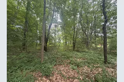 0 V/L Ash-Te-Wette Drive, Hillsdale, MI 49242 - Photo 5