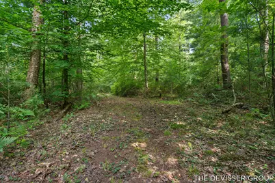1125 39th Street, Allegan, MI 49010 - Photo 47