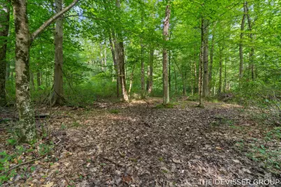 1125 39th Street, Allegan, MI 49010 - Photo 59