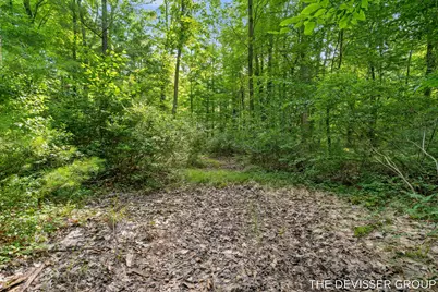 1125 39th Street, Allegan, MI 49010 - Photo 67