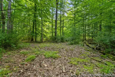 1125 39th Street, Allegan, MI 49010 - Photo 53