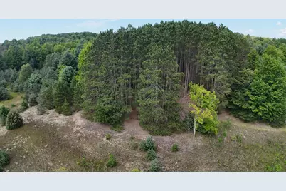 11 Mile Road #Parcel B, Bear Lake, MI 49614 - Photo 5