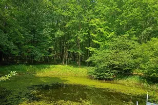 8045 W 16 Mile, Bitely, MI 49309 - Photo 27