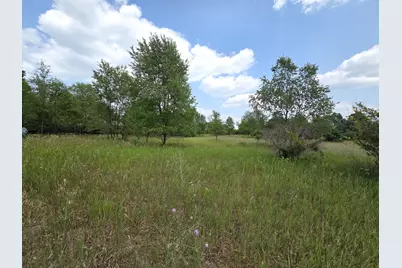 00 W Stanton Road, Trufant, MI 49347 - Photo 7