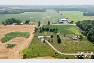 10130 Stahl Road, Lake Odessa, MI 48849 - Photo 1