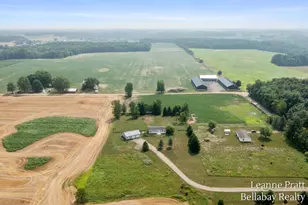 10130 Stahl Rd, Lake Odessa, MI 48849 - Photo 1
