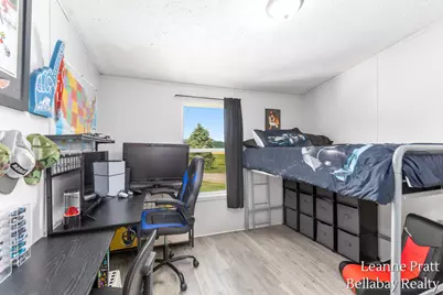 10130 Stahl Road, Lake Odessa, MI 48849 - Photo 21
