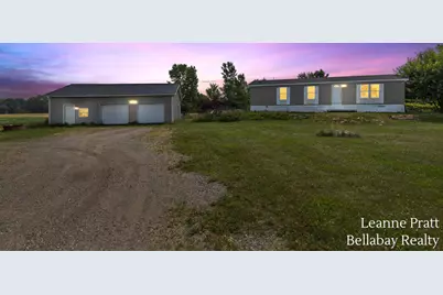 10130 Stahl Road, Lake Odessa, MI 48849 - Photo 3
