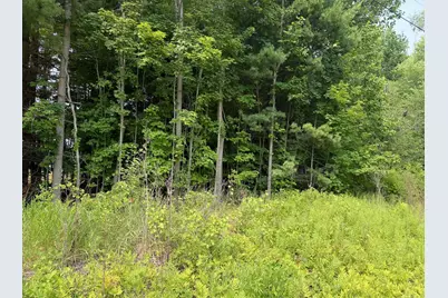 V/L 70444 16th Avenue, South Haven, MI 49090 - Photo 3