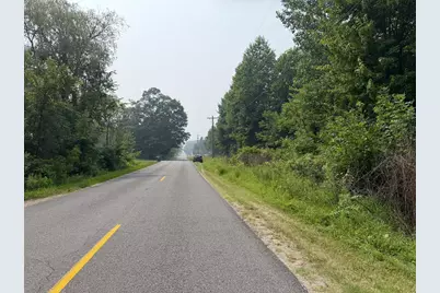 V/L 70444 16th Avenue, South Haven, MI 49090 - Photo 5
