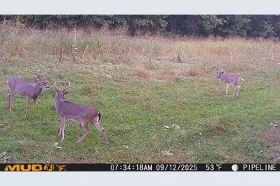 16314 9 Mile Road, Stanwood, MI 49346 - Photo 33