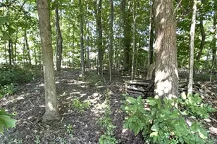 4084 Hartman Rd, Sodus, MI 49126 - Photo 9