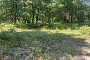 2807 S Evergreen Dr, White Cloud, MI 49349 - Photo 1