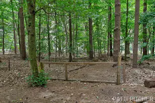 13369 Forest Park Dr, Grand Haven, MI 49417 - Photo 9
