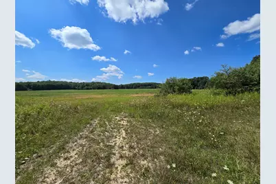 Leckrone Road, Brethren, MI 49619 - Photo 3