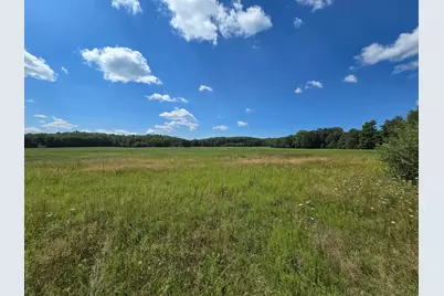 Leckrone Road, Brethren, MI 49619 - Photo 1