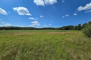 Leckrone Rd, Brethren, MI 49619 - Photo 1