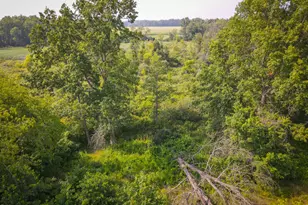 50002 M 51 N, Dowagiac, MI 49047 - Photo 5
