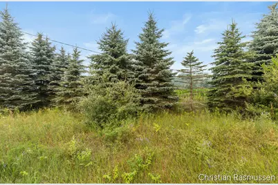 V/L N Grow Road, Stanton, MI 48888 - Photo 19
