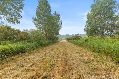 V/L N Grow Road, Stanton, MI 48888 - Photo 5