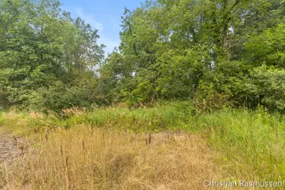 V/L N Grow Road, Stanton, MI 48888 - Photo 23