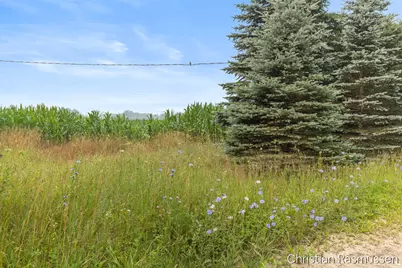 V/L N Grow Road, Stanton, MI 48888 - Photo 17