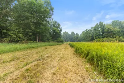 V/L N Grow Road, Stanton, MI 48888 - Photo 7