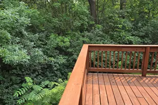 2145 Pauline Ct, Ann Arbor, MI 48103 - Photo 11