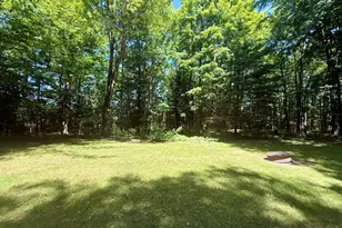 5268 N Alpine Dr, Luther, MI 49656 - Photo 13