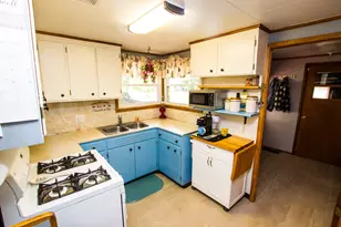 119 Cross St, Dowagiac, MI 49047 - Photo 5