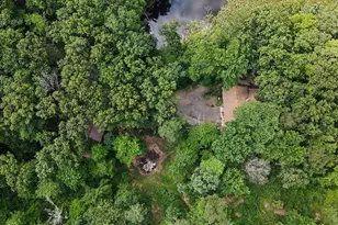 11091 W Dr N, Bellevue, MI 49021 - Photo 23