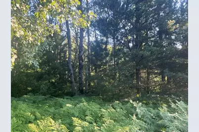 13251 Makinen Road, Kaleva, MI 49645 - Photo 11